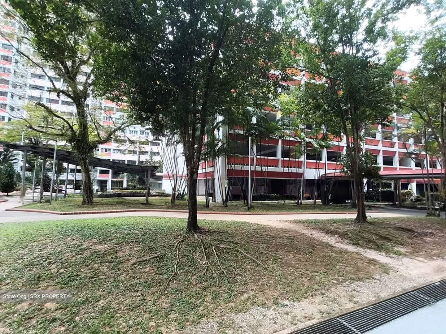 Blk 483 Choa Chu Kang Avenue 5 (Choa Chu Kang), HDB 5 Rooms #601036591